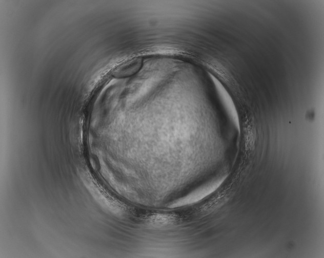 X0000116100350200912141002