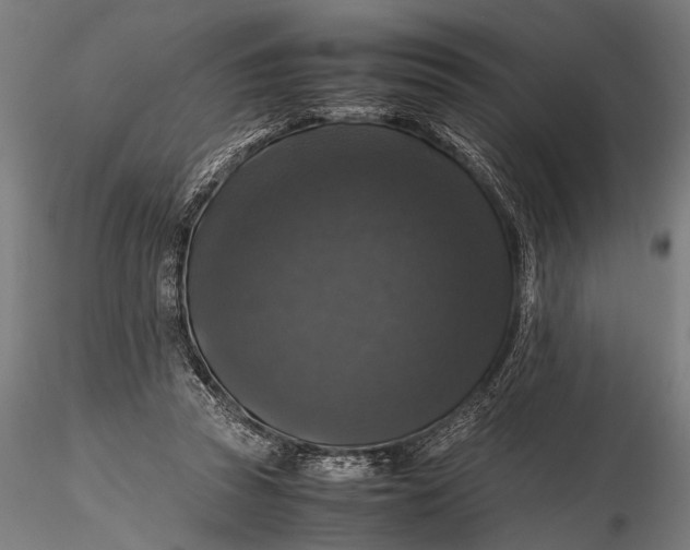 X0000116100353200912141002