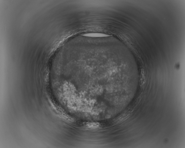 X0000116100355200912141002