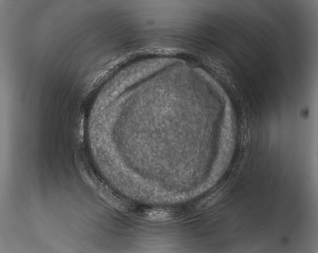 X0000116100358200912141002