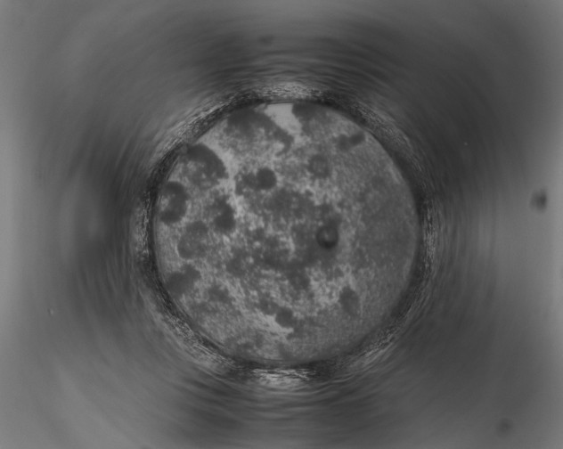 X0000116100359200912141002