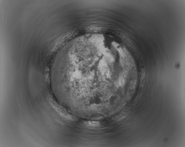 X0000116100361200912141002