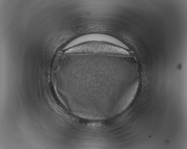 X0000116100362200912141002