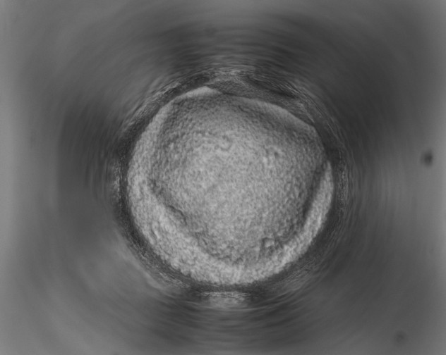 X0000116100363200912141002