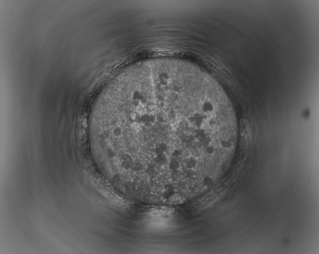 X0000116100369200912141002