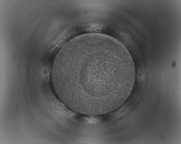 X0000116100370200912141002