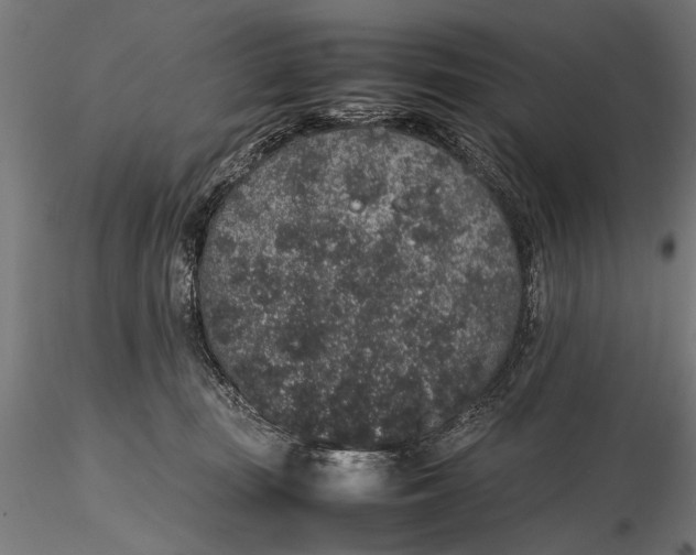 X0000116100371200912141002