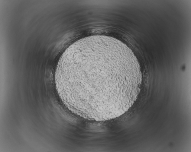 X0000116100375200912141002