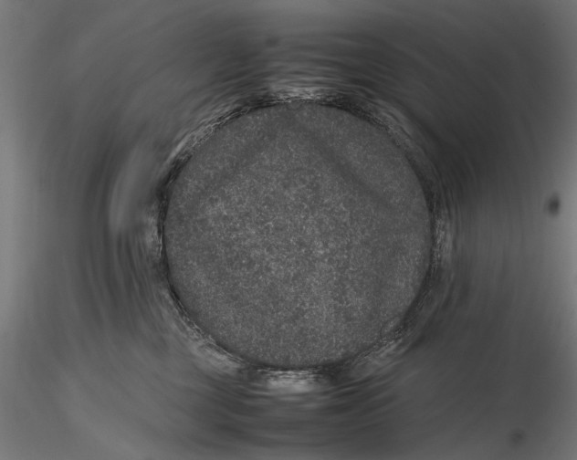 X0000116100377200912141002