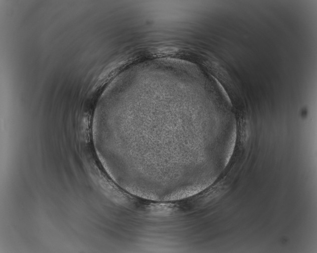 X0000116100378200912141002