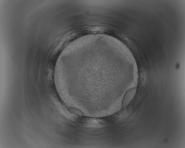 X0000116100379200912141002