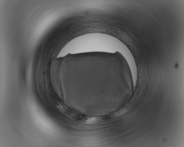 X0000116100382200912141002