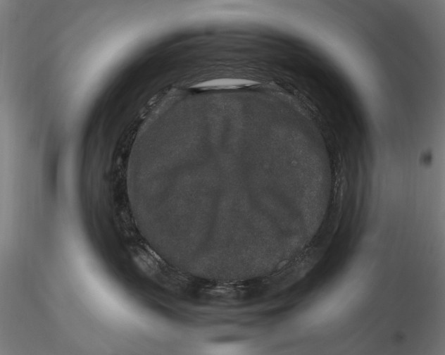 X0000116100383200912141002