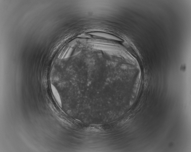 X0000116100386200912141001