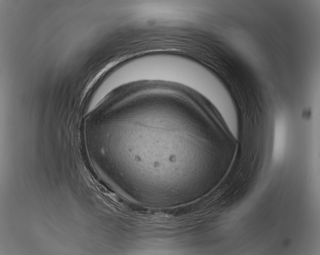 X0000116100387200912141001