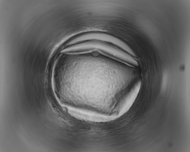 X0000116100388200912141001