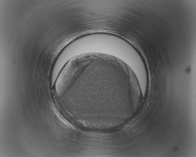 X0000116100389200912141001