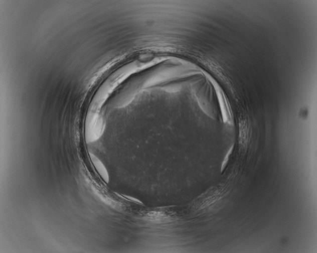 X0000116100390200912141001