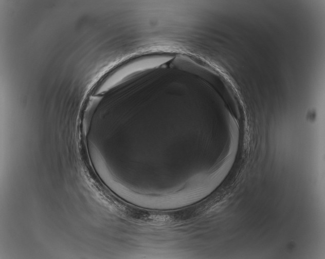 X0000116100391200912141001