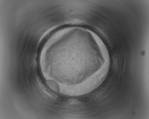 X0000116100392200912141001