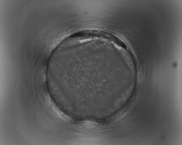 X0000116100393200912141001