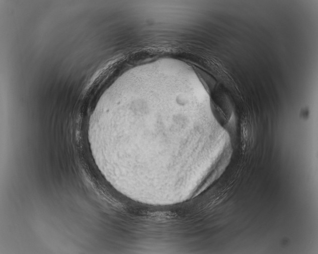 X0000116100396200912141001