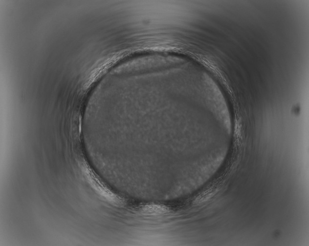 X0000116100397200912141001