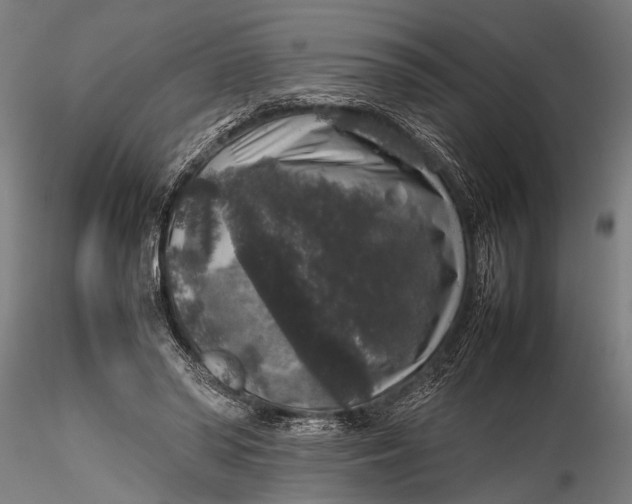 X0000116100398200912141001