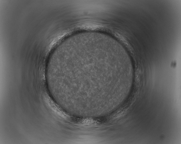 X0000116100399200912141001