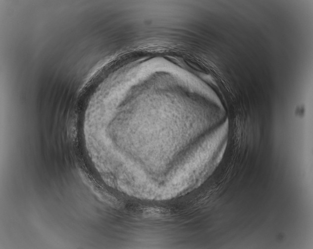 X0000116100400200912141001