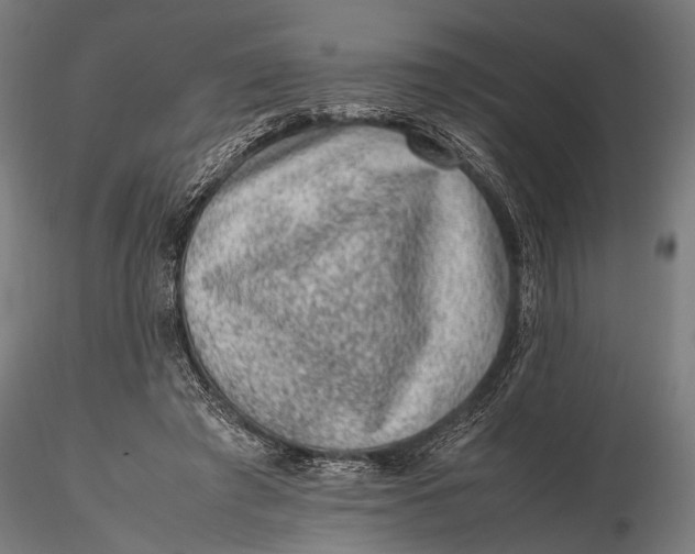 X0000116100401200912141001