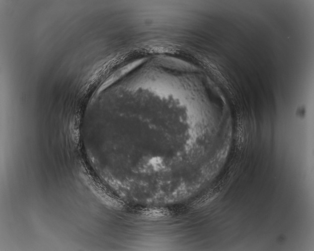 X0000116100402200912141001