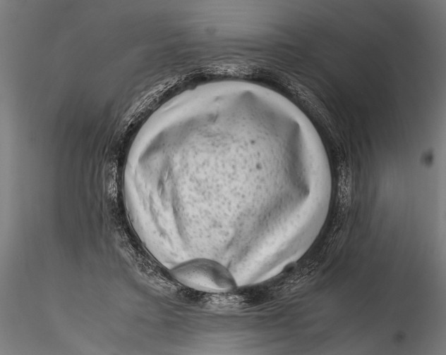 X0000116100403200912141001