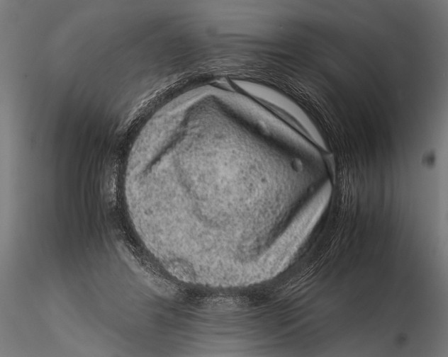 X0000116100404200912141001