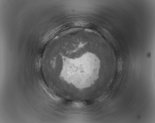 X0000116100405200912141001