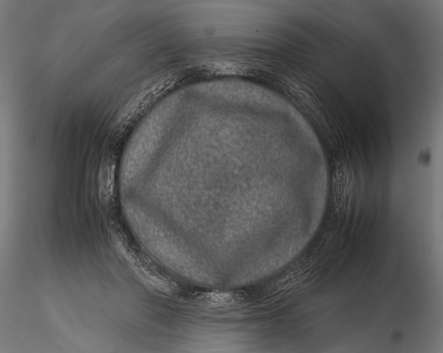 X0000116100406200912141001