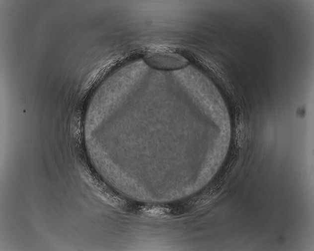 X0000116100407200912141001