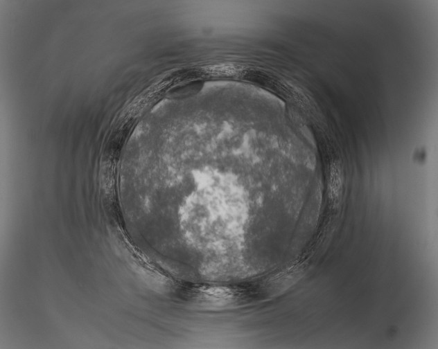 X0000116100409200912141001