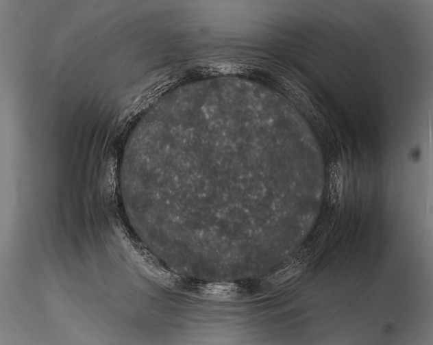 X0000116100410200912141001