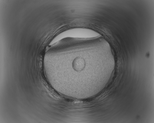 X0000116100413200912141001