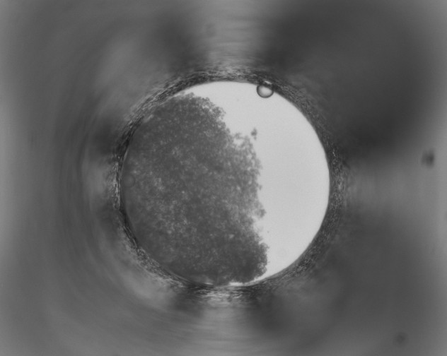 X0000116100415200912141001