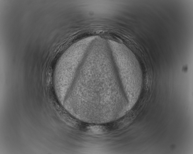 X0000116100417200912141001