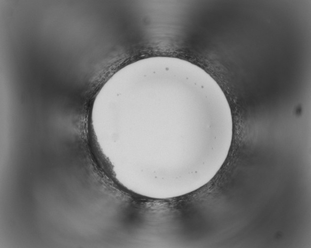 X0000116100419200912141001