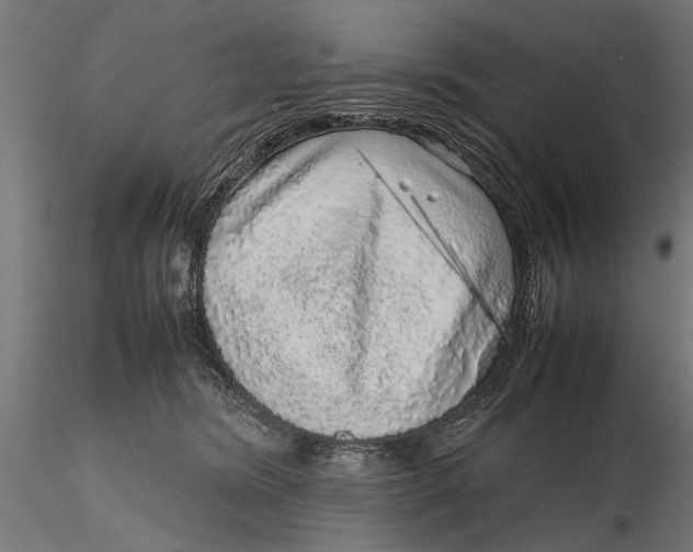 X0000116100420200912141001