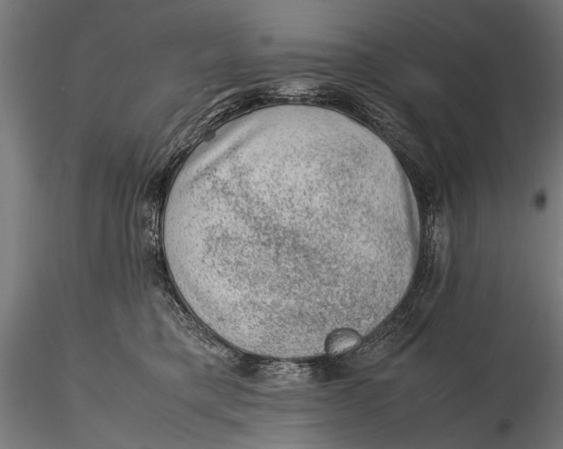 X0000116100421200912141001