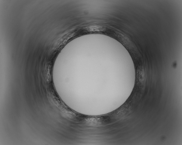 X0000116100422200912141001