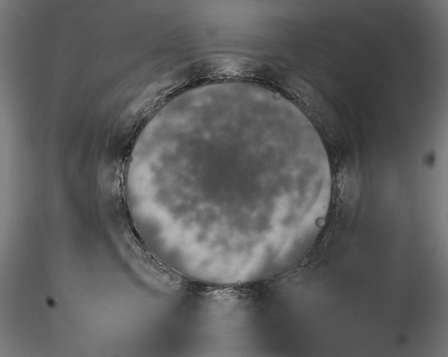 X0000116100423200912141001