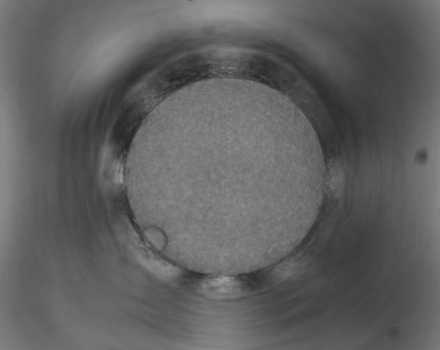 X0000116100431200912141001