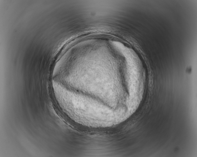 X0000116100434200912141000