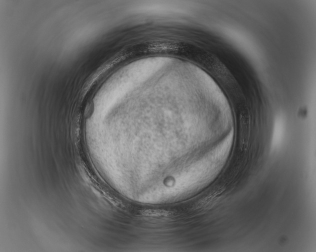 X0000116100435200912141000